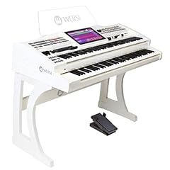 Wersi ax1 deluxe gebraucht kaufen  Wird an jeden Ort in Deutschland