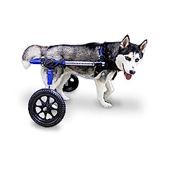 Walkin wheels dog for sale  Delivered anywhere in USA 