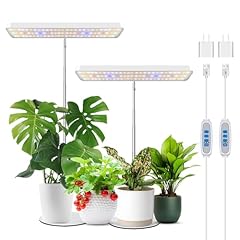 Wiaxulay plant grow for sale  Delivered anywhere in UK