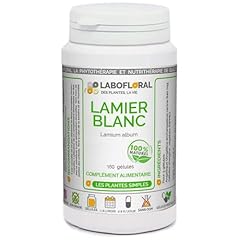 Lamier blanc labofloral d'occasion  Livré partout en France