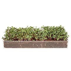 Window garden microgreens for sale  Delivered anywhere in USA 