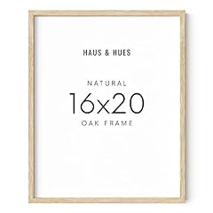 Haus hues x20 for sale  Delivered anywhere in USA 