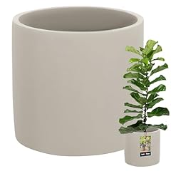 Kotarbau blumentopf keramik gebraucht kaufen  Wird an jeden Ort in Deutschland