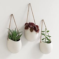 Kazai. wall planters for sale  Delivered anywhere in USA 