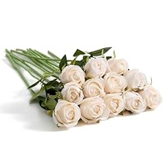 Amore florals pcs for sale  Delivered anywhere in USA 