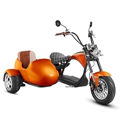 Eahora m1p sidecar for sale  Delivered anywhere in USA 
