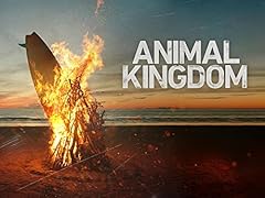 Animal kingdom d'occasion  Livré partout en France