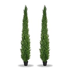 Feet pre potted for sale  Delivered anywhere in USA 