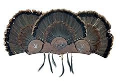 Multi fan walnut for sale  Delivered anywhere in USA 