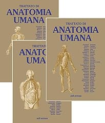 Anatomia umana. trattato usato  Spedito ovunque in Italia 