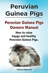 Peruvian guinea pigs. for sale  Delivered anywhere in USA 
