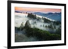 Art.com framed wall for sale  Delivered anywhere in USA 