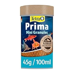 Tetra prima fish for sale  Delivered anywhere in UK