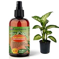 𝐁𝐄𝐒𝐓𝐒𝐄𝐋� for sale  Delivered anywhere in USA 