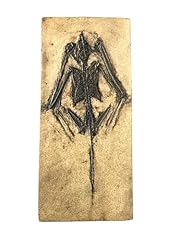 Bat skeleton fossil for sale  Delivered anywhere in USA 