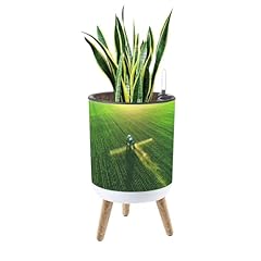 Deruinvaio inch planter for sale  Delivered anywhere in USA 