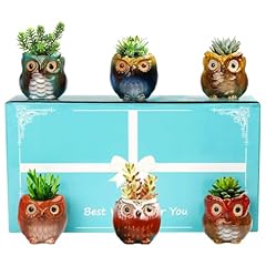 Buymax pack animal for sale  Delivered anywhere in USA 