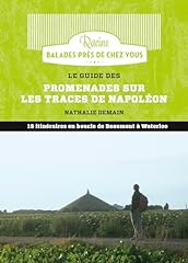 boucles napoleon 3 d'occasion  Livré partout en France