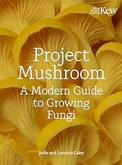 Project mushroom modern for sale  Delivered anywhere in UK