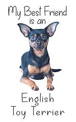 Best friend english for sale  Delivered anywhere in UK