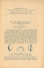 cypraea niger d'occasion  Livré partout en France