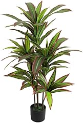 Viagdo dracaena silk for sale  Delivered anywhere in USA 