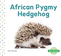 African pygmy hedgehog for sale  Delivered anywhere in Ireland