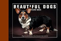 Beautiful dogs postcard for sale  Delivered anywhere in UK