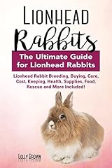 Lionhead rabbits lionhead for sale  Delivered anywhere in USA 