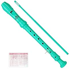 Eastrock recorder instrument for sale  Delivered anywhere in USA 