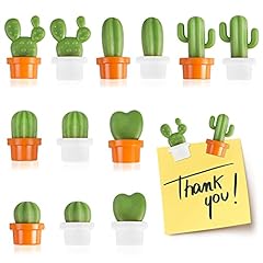 Yeestone pack cactus for sale  Delivered anywhere in UK
