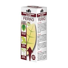 Cifo ferro chelato usato  Spedito ovunque in Italia 