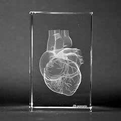 Human heart love for sale  Delivered anywhere in USA 