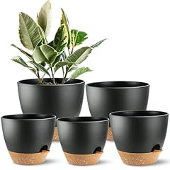 Sun self watering for sale  Delivered anywhere in USA 