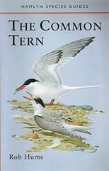 Common tern for sale  Delivered anywhere in UK