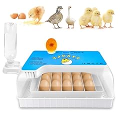 Incubators hatching eggs for sale  Delivered anywhere in USA 