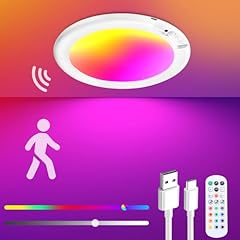 Rechargeable ceiling light for sale  Delivered anywhere in USA 