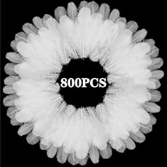 800pcs white craft for sale  Delivered anywhere in USA 