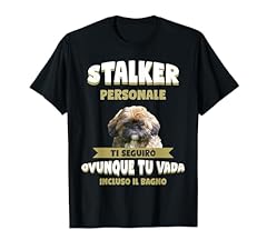 Shih tzu cane usato  Spedito ovunque in Italia 