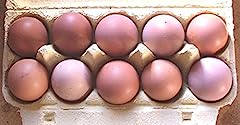 Hühner eier braun gebraucht kaufen  Wird an jeden Ort in Deutschland