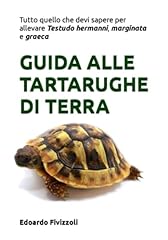 Tartarughe terra guida usato  Spedito ovunque in Italia 