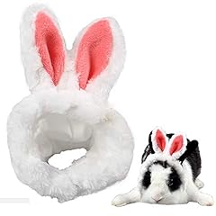 Aniac easter guinea for sale  Delivered anywhere in USA 