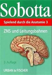 Spielend durch anatomie gebraucht kaufen  Wird an jeden Ort in Deutschland