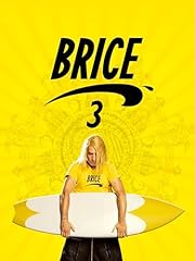 Brice d'occasion  Livré partout en France