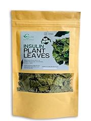 Dried insulin plant for sale  Delivered anywhere in USA 