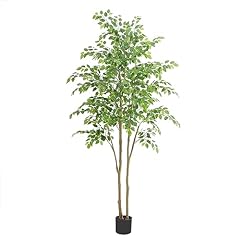 Nafresh tall ficus for sale  Delivered anywhere in USA 
