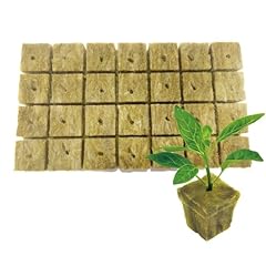 Wangshiqi rockwool cubes for sale  Delivered anywhere in USA 