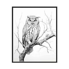 Owl art prints for sale  Delivered anywhere in USA 