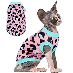 Pumyporeity sphynx cat for sale  Delivered anywhere in USA 