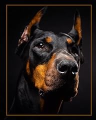 Doberman notebook 8x10 for sale  Delivered anywhere in UK